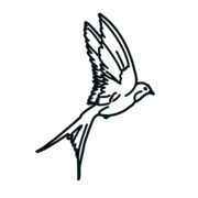 Blue Bird